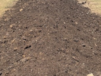 Screened and Unscreened Feedlot Manure