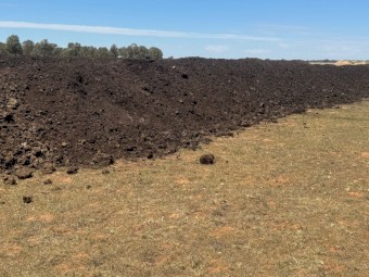 Screened and Unscreened Feedlot Manure