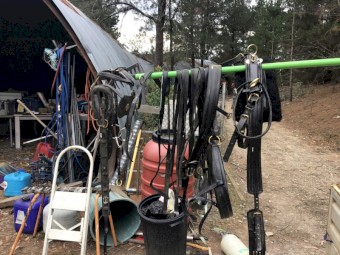 Pony Sulky/Cart