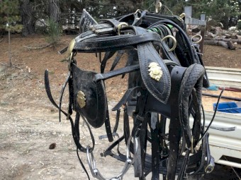 Pony Sulky/Cart