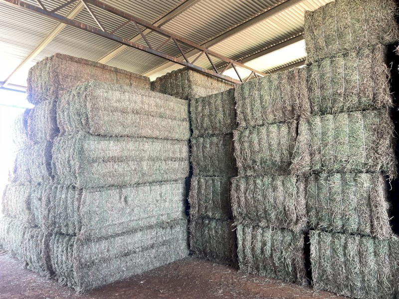 70mt Lucerne Hay 8x4x3 Bales
