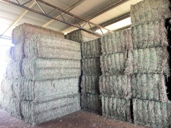 70mt Lucerne Hay 8x4x3 Bales