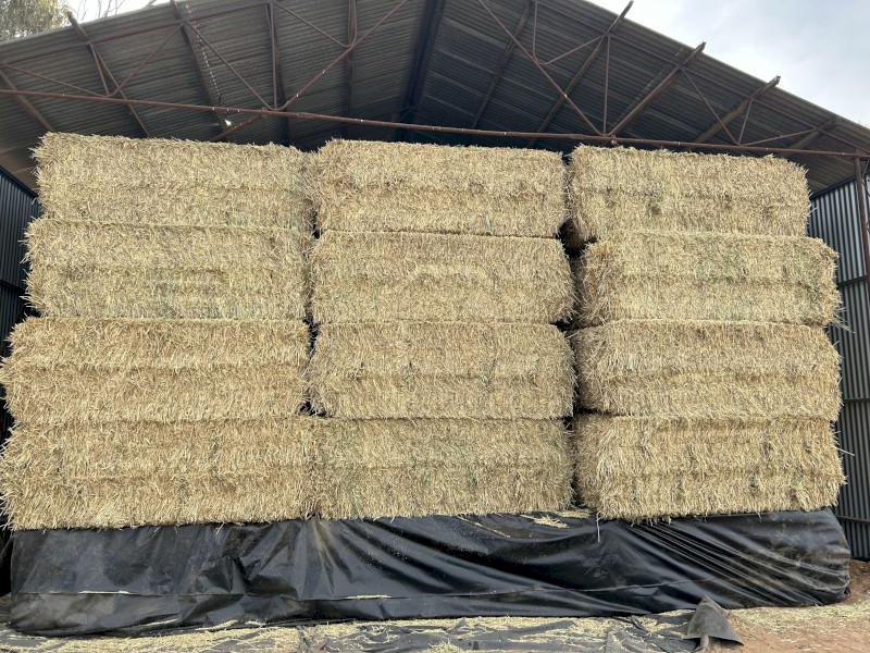 24/25 Wheaten Hay