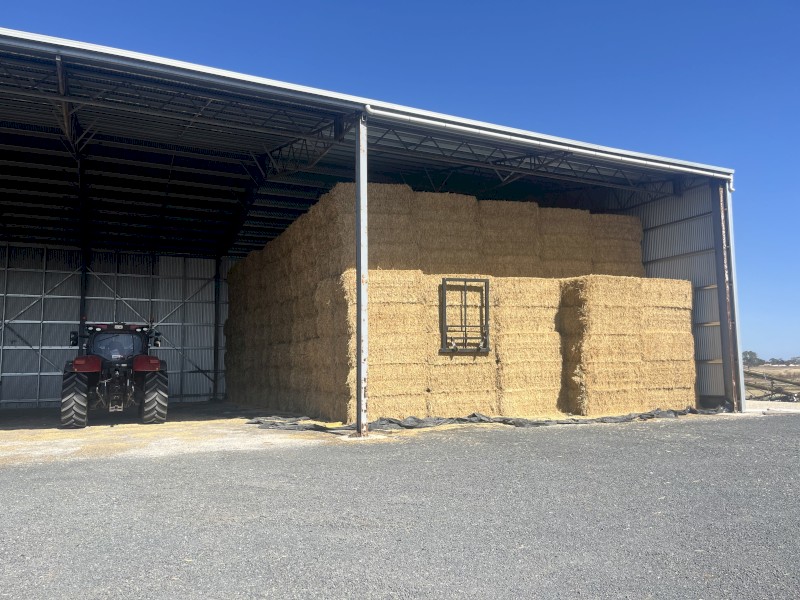 300mt Wheaten Hay 600kg 8x4x3 Bales