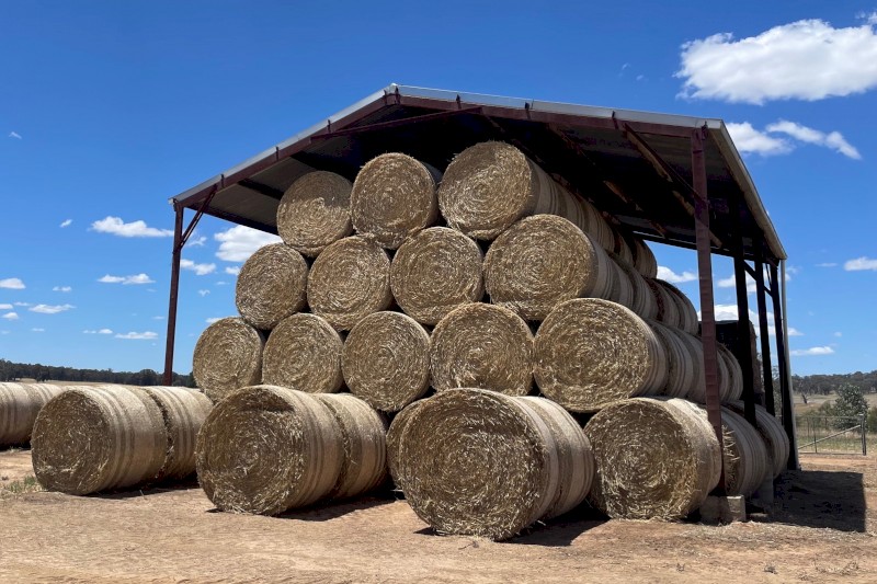 2024/25 New Season  Wheaten Tailings Round Rolls Net Wrapped (5x4)