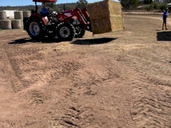Horse Quality Lucerne 8*4*3 