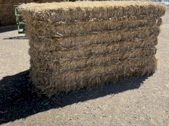 Wheaten Straw 8x4x4 Bales