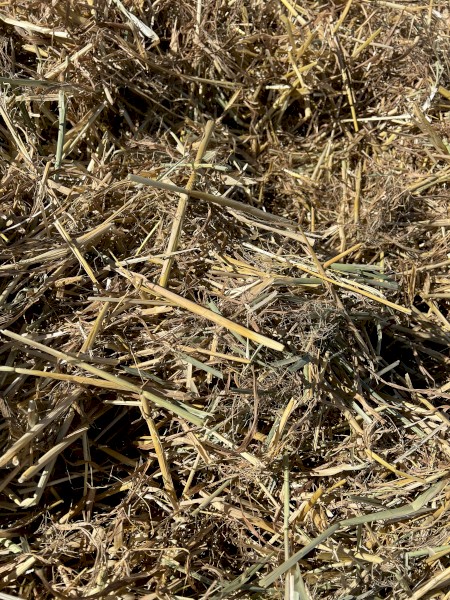 186mt Oaten Straw 445kg 8x4x3 Bales