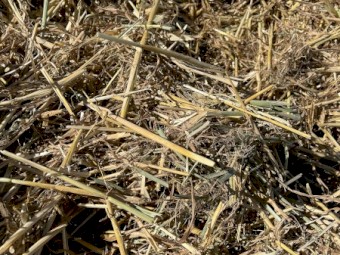 186mt Oaten Straw 445kg 8x4x3 Bales