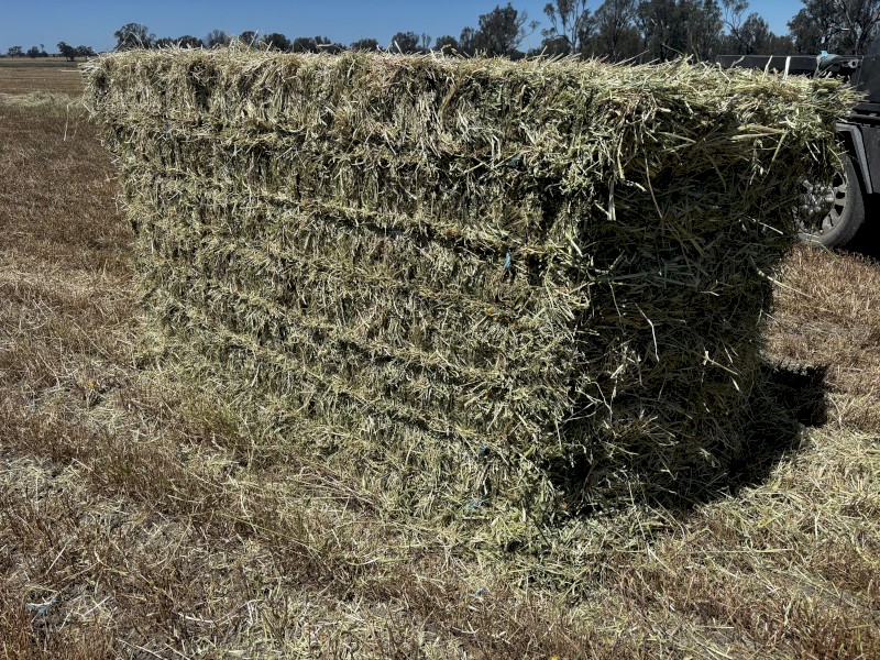 200mt Rye and Clover Hay 8x4x4 Bales