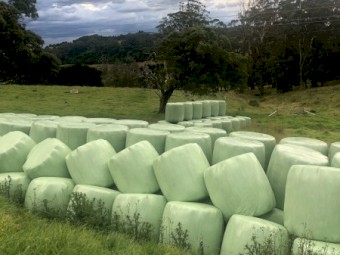 Silage for sale