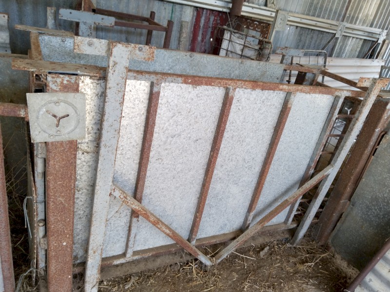 Sheep Scales