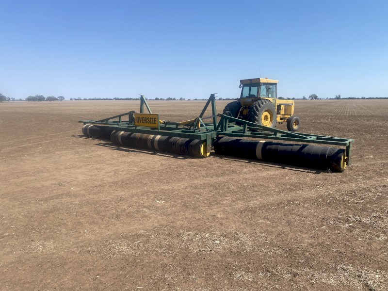 Lentil Roller 