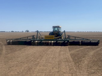 Lentil Roller 