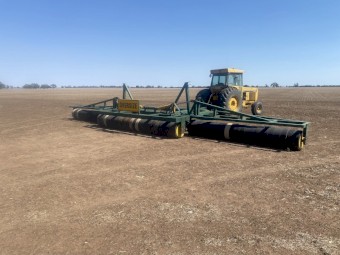 Lentil Roller 