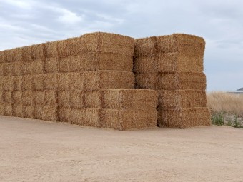 Wheaten/Rye Header Trailing's straw 8x4x3