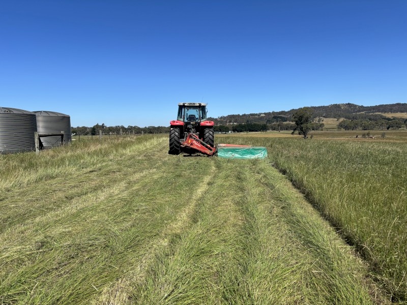 WANTED Land to Lease for Hay Production