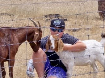 Boer X Reds