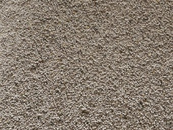 200mt Jurien Lupins
