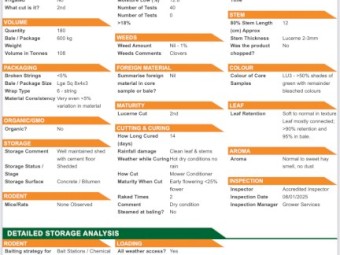 Lucerne Hay 600-650kg 8x4x3 Bales (120 bales remaining)