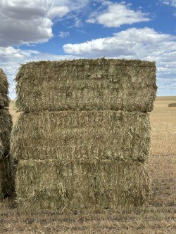 350mt Wheaten Hay 600kg 8x4x3 Bales