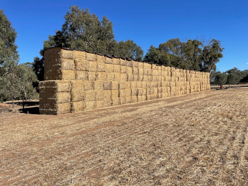 2024 Barley Straw (Header Tailings)