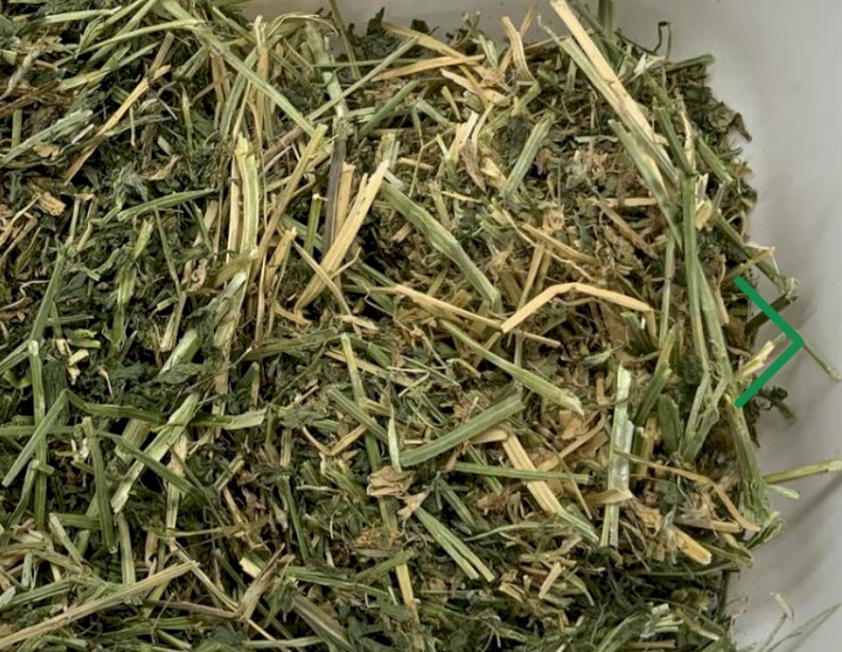Lucerne Hay - 2nd Cut