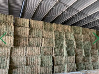 Lucerne Hay - 2nd Cut