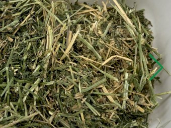 Lucerne Hay - 2nd Cut