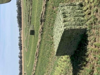 Lucerne Hay - 2nd Cut