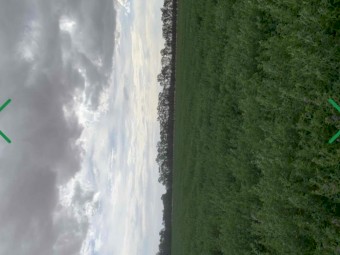 Lucerne Hay - 2nd Cut
