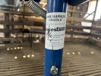 Lamb Marking Cradle