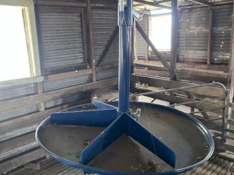 Lamb Marking Cradle