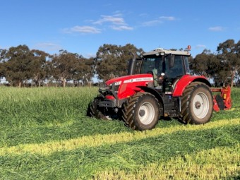 25 Trewicks Road, Elmore, Vic 3558      7.69ha     •      Cropping/ Grazing /  lots of Potential - Above deep Lead aquifer 