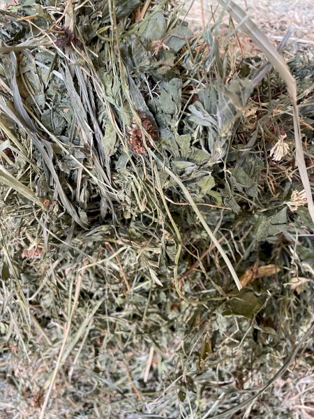 Lucerne and clover mix