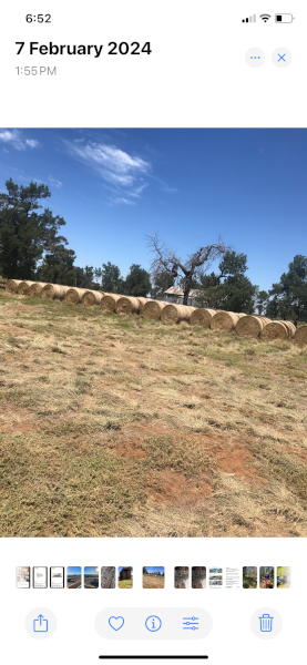 Lucerne Round Bales