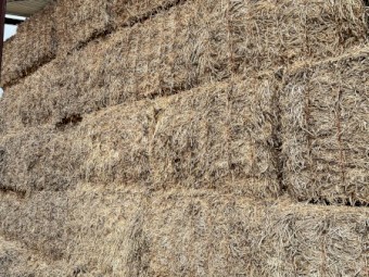 100mt Vetch Hay 8x4x3 Bales (New Season)