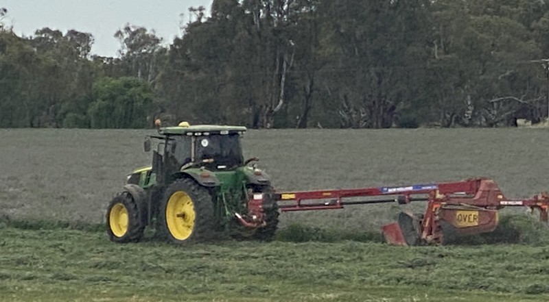 Lucerne B1 quality