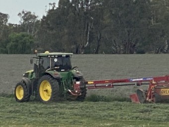 Lucerne B1 quality