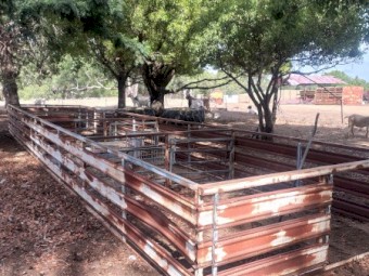 40 ft sheep crate single deck 