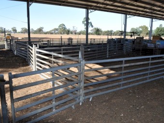 Norton Semi-Permanent Sheep Yards
