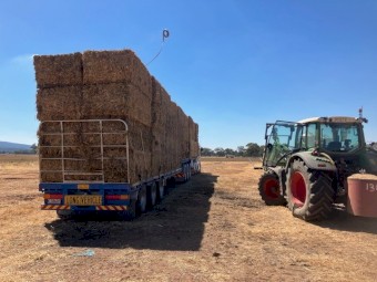 200mt Vetch/Oaten Hay 627kg 8x4x3 Bales