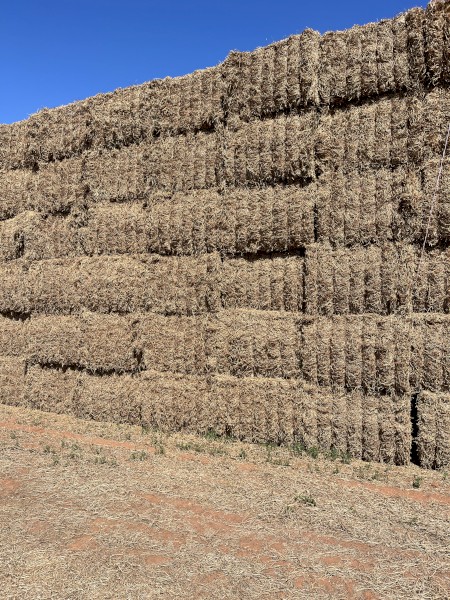650mt Vetch Hay 630kg 8x4x3 Bales