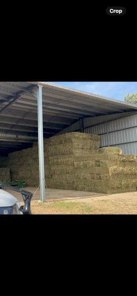 1000 x Lucerne Hay Small Squares