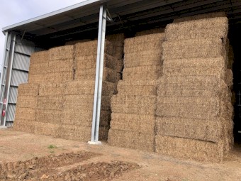 2024 Vetch Hay