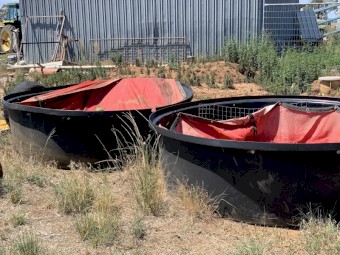 Aussie Feeders x 3