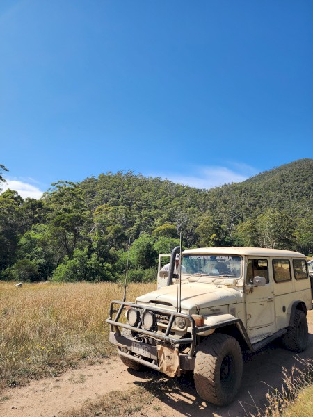 WANTED Toyota Landcruisers