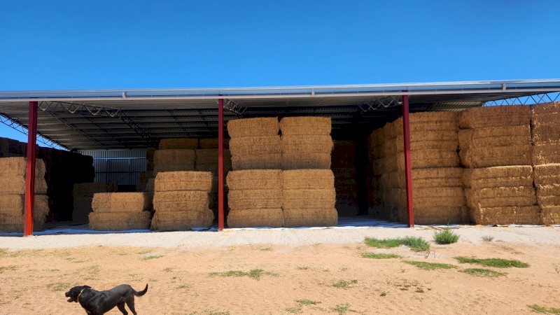 LUCERNE HAY