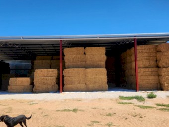 LUCERNE HAY