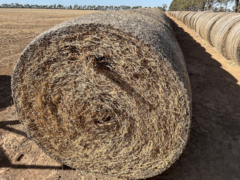 75mt Vetch Hay 5x4 Rolls